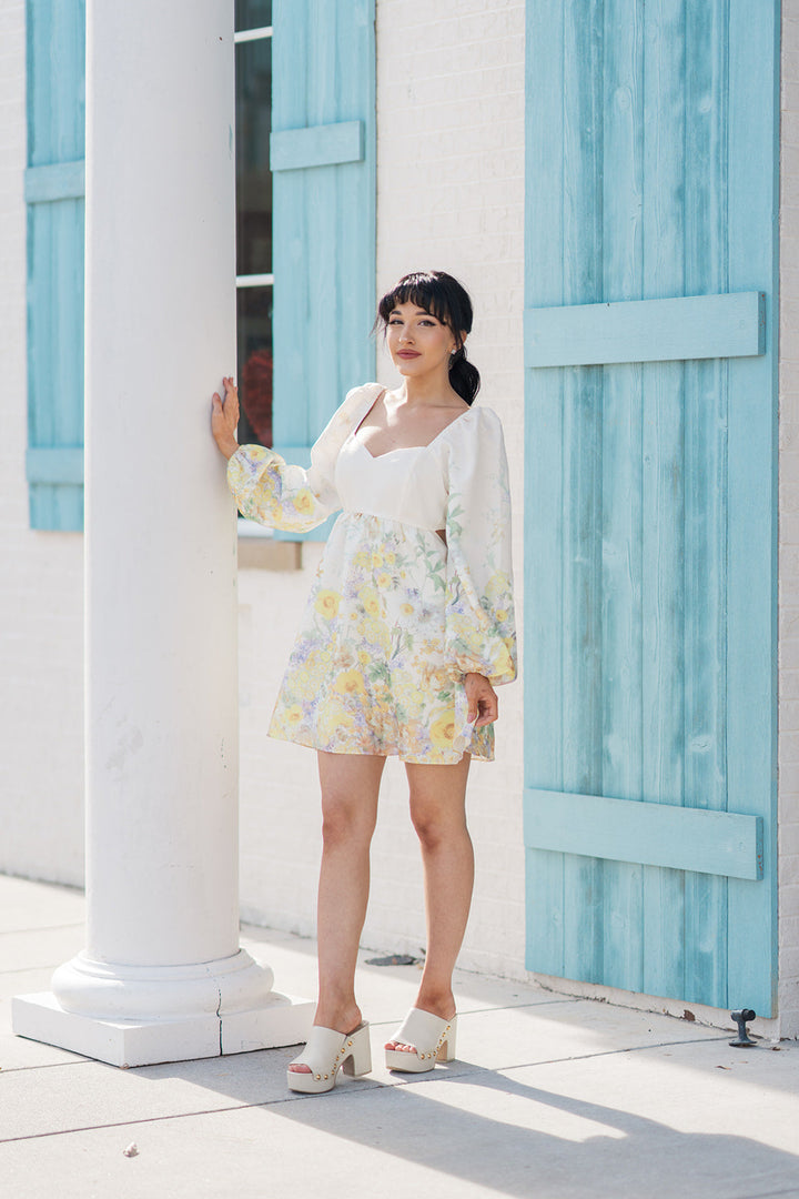 Antoinette Mini Dress