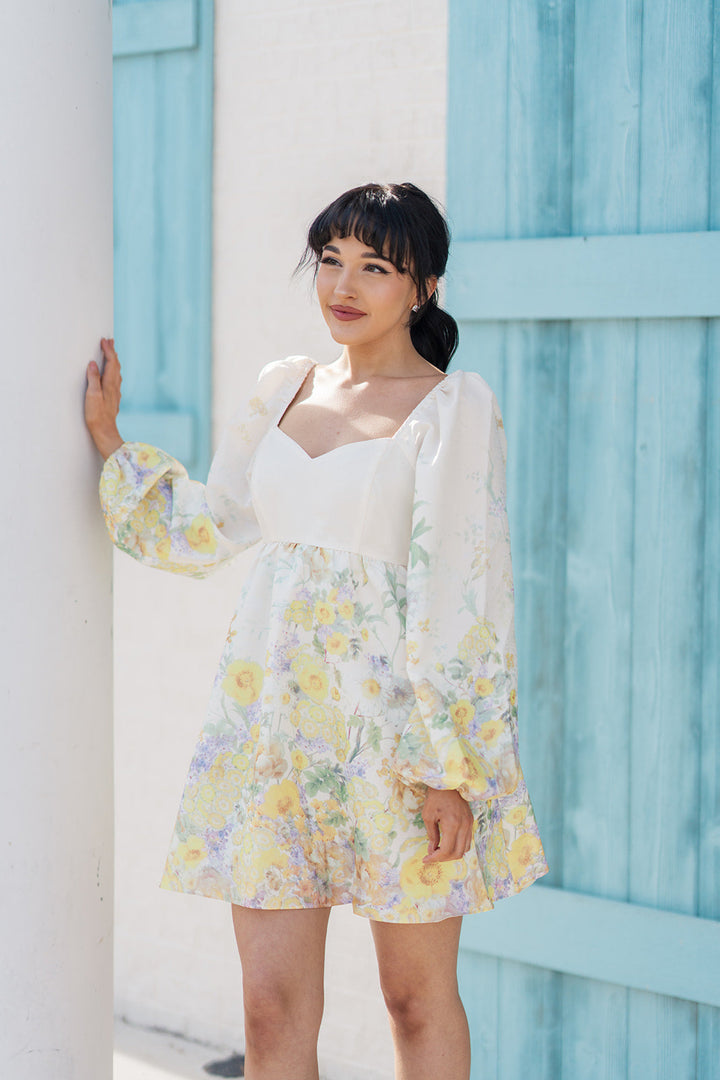 Antoinette Mini Dress